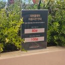 무한리필 샤브샤브 맛집 &#39;샤브올데이&#39; 동탄신도시점 내돈내산 방문후기(메뉴+이용 팁+소스 조합추천)