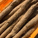 태형농장 이미지