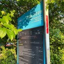 여의도 한강공원3주차장 (여의도순복음교회앞)
