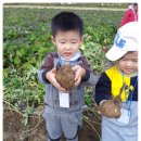 효동농장 이미지