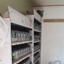 탑팀모터스 이미지