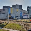 표선초등학교 운동장 이미지