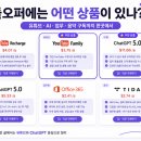 [짠테크] 돌오퍼(Doloffer) 결제 후기 2탄: 유튜브 프리미엄 &amp; 챗GPT 실제 가격 비교와 결제 방법