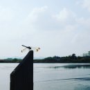 마이제낚시터 | [공지] &#39;붕어낚시 후기&#39;라 쓰고 &#39;낚시터&#39;에 대해 말하다 (ft. 사계지 낚시터)