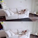 까사알렉시스천안