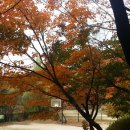 안산 노적봉의 가을풍경! 이미지
