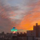 드림메디칼 이미지