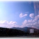 삼천포대교로 Daum카페