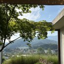 내방리 | [스테이보다] 이끼정원이 예쁜 남양주 감성숙소 스테이보다 정원동 후기