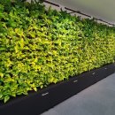 에이치엘비파워(주) 이미지