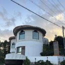 자유로운 사색가 이미지