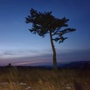 백두세상 이미지