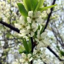 가림산둘레길 이미지