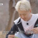 멋쟁이토마토 이미지