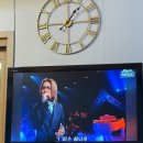 노랑지붕민박 이미지