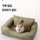 럭셔리펫 | 펫스타 가죽 강아지침대: 대형견도 편안하게! 꿀잠 보장 럭셔리 침대 리뷰 (내돈내산 후기)