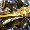 산과들민박 이미지