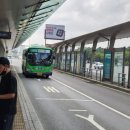 신흥지하차도 이미지