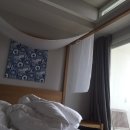 룸엣 155 이미지