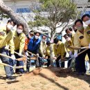 희망나무심기5 이미지