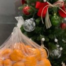 서울성심치과의원 이미지