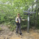 지리산 청학동,삼신봉,쌍계사(2026.8.8) 이미지