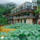 흐릴수록 ☁ 매혹적인 풍경을 뽐내는 경남 #산청 수선사 이미지