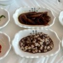 머구리 티스토리