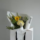 Green Colo 이미지