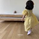 벌룬플라워 이미지