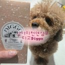 목욕하는 강아지 | [반려동물] 강아지 천연 성분 샴푸 추천 | 각질 확실히 줄어든 디고 후기