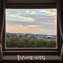 퐁낭에염 이미지