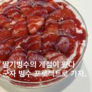 프로젝트에스 - 마포구 성미산로1길 14 | [군자카페 추천] 생딸기빙수의 계절이 왔다!! '빙수프로젝트' 찐 후기
