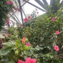 태평양광택 이미지