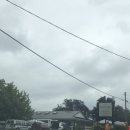 미성농장 이미지