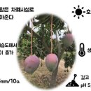 인화농장 이미지