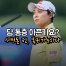 전주PGA(피쥐에이)골프 | [LPGA JM 이글 LA 챔피언십] "단순 담 증세일까, 장기 부상의 전조일까?" 김효주의 기권 이유와 셰브론...