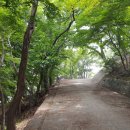 한반도캠핑장민박 이미지