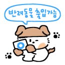 무드 인 캐비넷 이미지