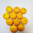 선돌농장 이미지