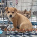 김포한강8로 이미지