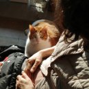 펀한노리터 이미지