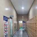 [광주 수영장] 남구 다목적 체육관 : 자유수영 / 가격 / 방문 후기