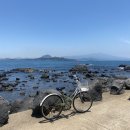 [제주도 서쪽] 가파도 여행의 모든것, 청보리밭, 노을투어, 배 예약 방법, 가볼만한 곳 추천