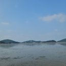 대부도 방아머리해변 주변 칼국수¹집 바로미백합칼국수집 전통 우리밀 칼국수 전문집