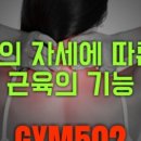 GYM502 이미지