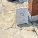 잎새달하루