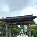 이까대토 | 포항 구룡포 일본인가옥거리 맛집 이까대토 식사후기