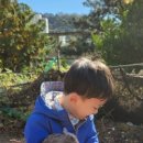 호돌유치원 이미지