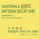 빈라이프